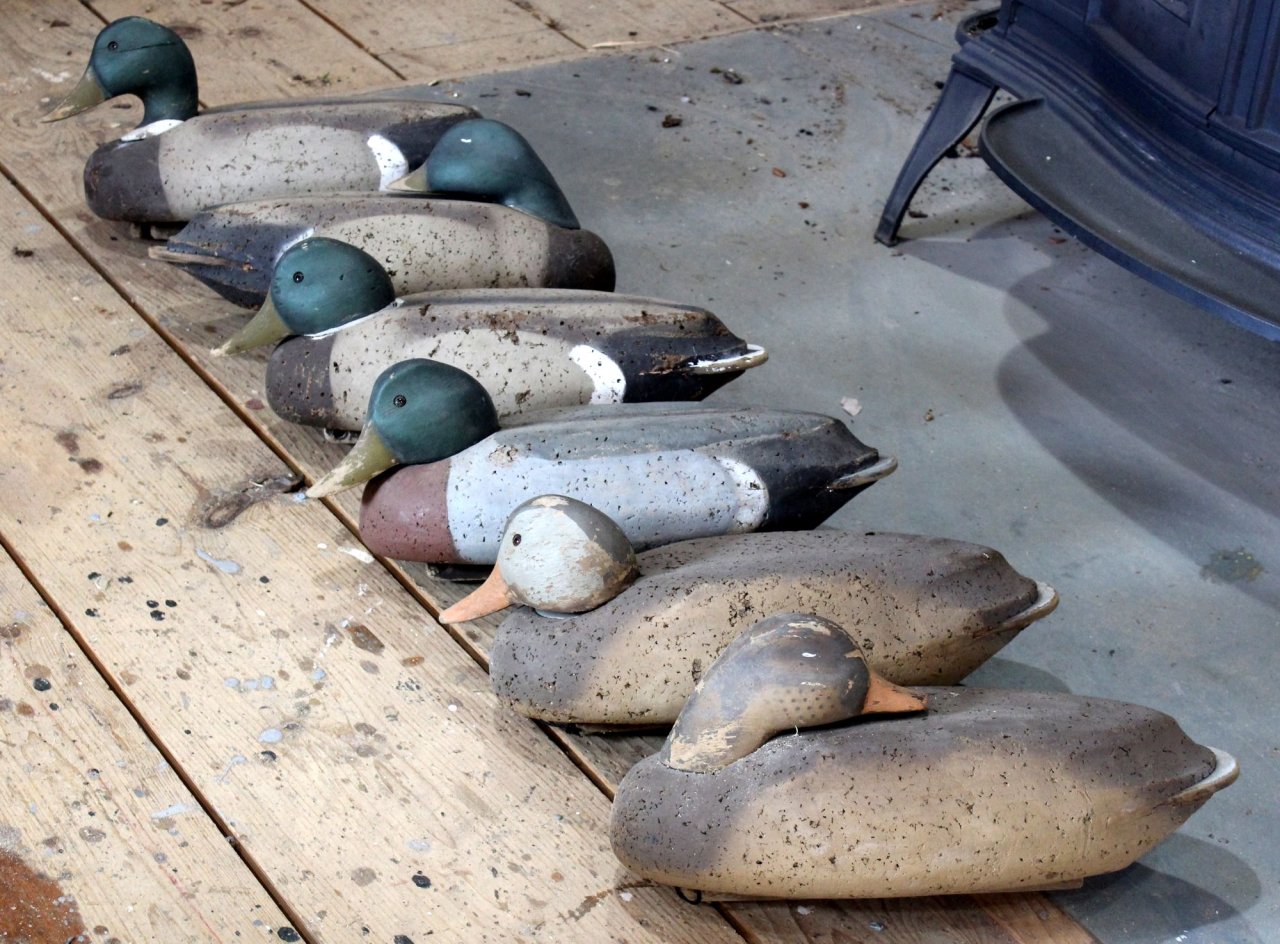 sm Brian Garman Mallards BEFORE.JPG