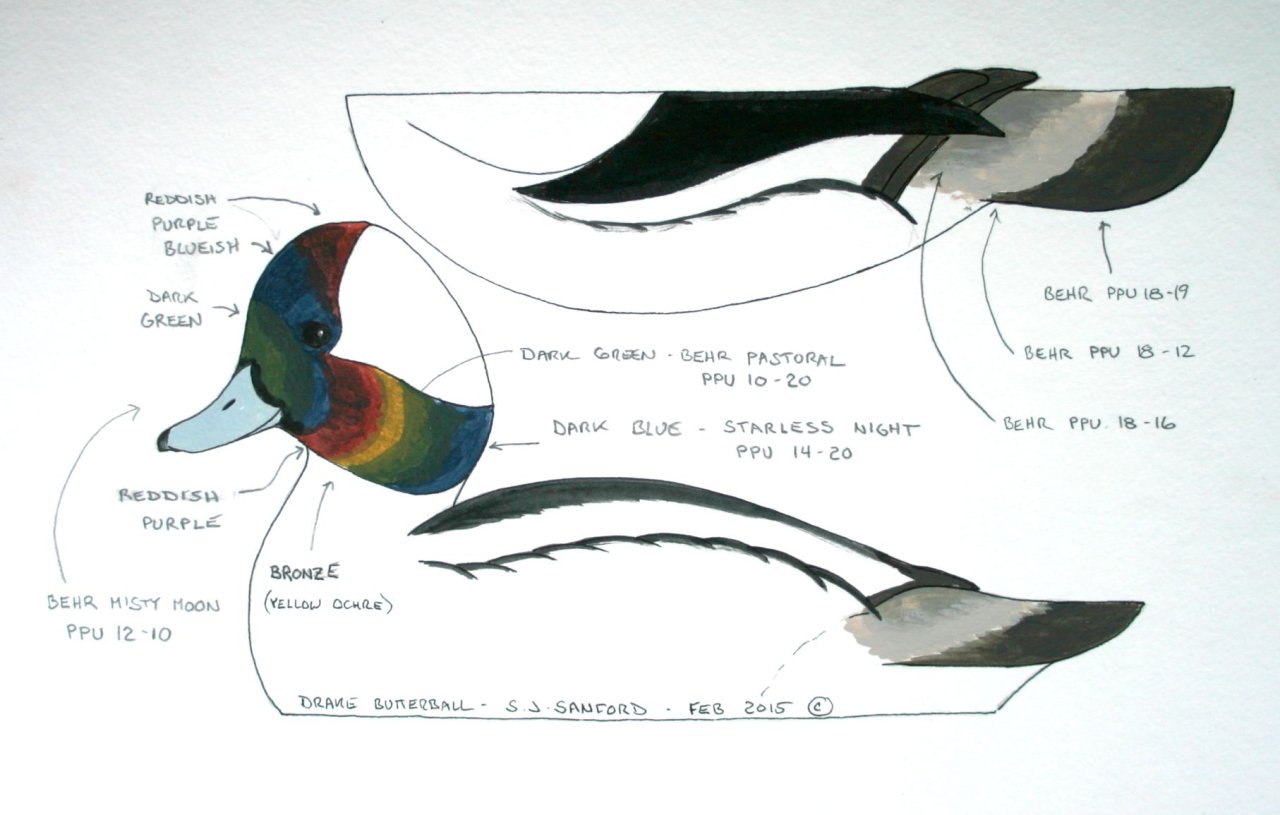 sm Bufflehead Drake - BEHR PAINTS.jpg