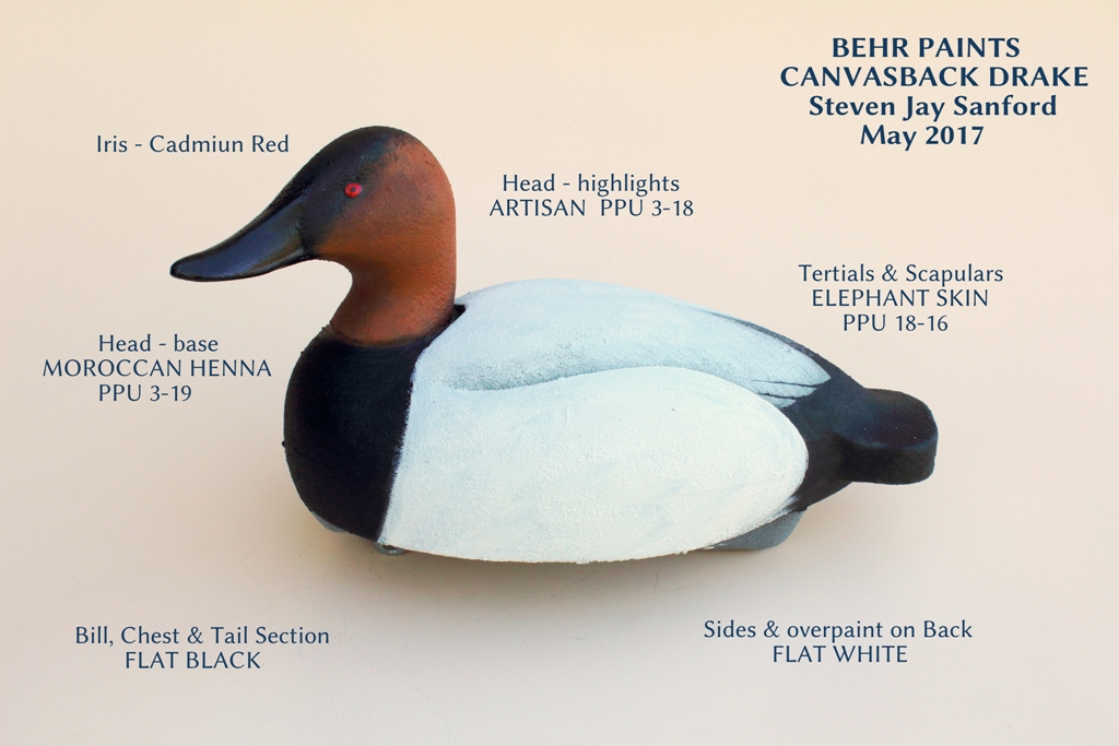 sm Canvasback Drake -BEHR PAINTS.JPG