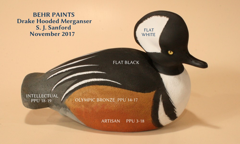 sm Hooded Merganser Drake - BEHR PAINTS.JPG