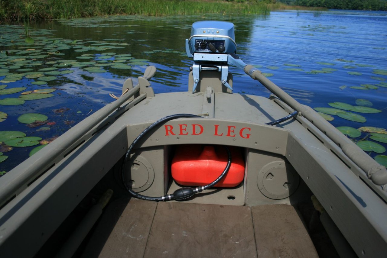 sm RED-LEG Portrait 2.JPG