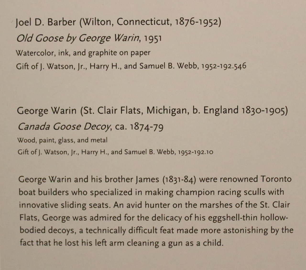 sm Warin Goose 01 - caption.JPG