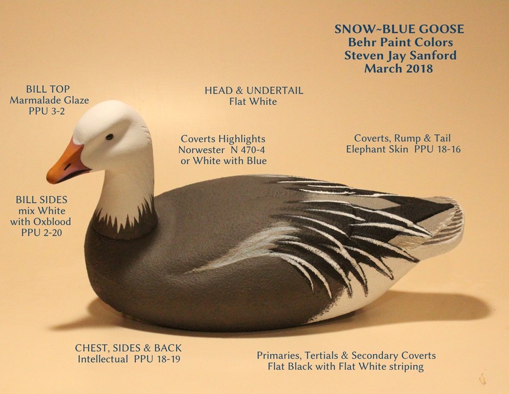 Snow-Blue Goose - BEHR paints - MARCH 2018.JPG