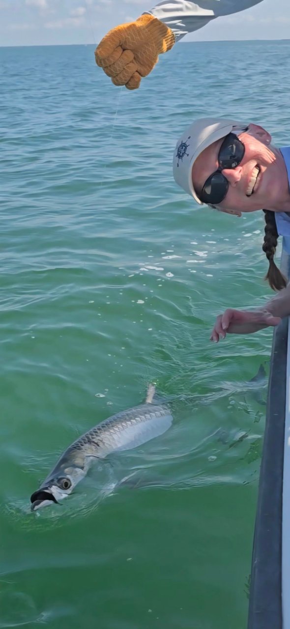 tarpon10.jpg