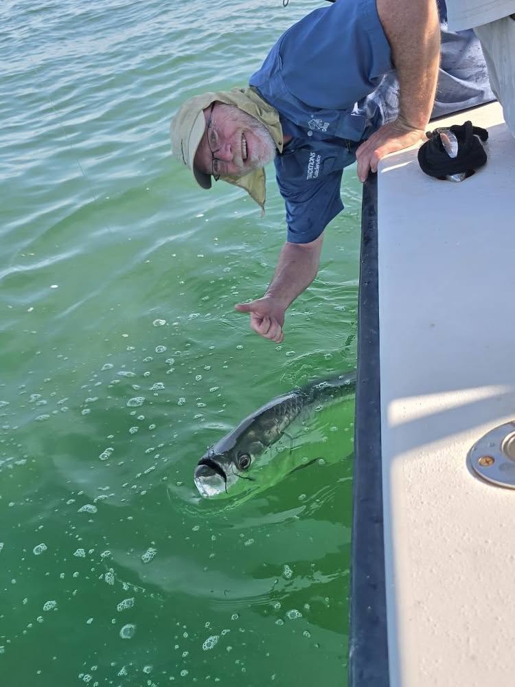 tarpon11.jpg