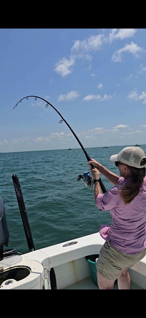 tarpon6.jpg