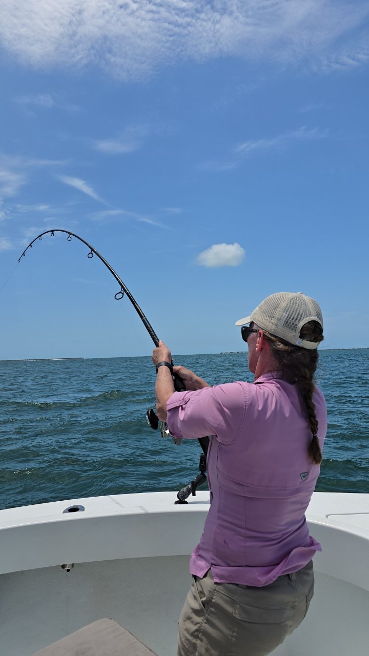tarpon8.jpg
