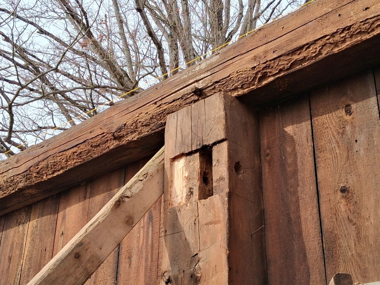 Tsm Granary - Mortise in West post.jpg
