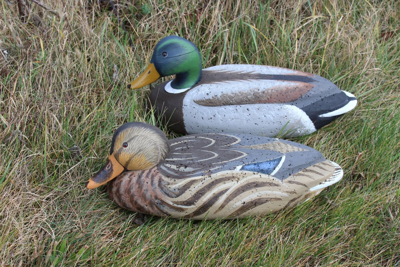 Wave Rider Mallard pair.JPG