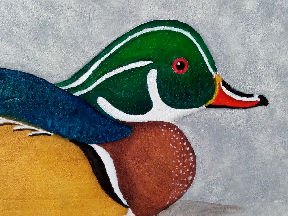 Wood  Duck for new sign.jpg