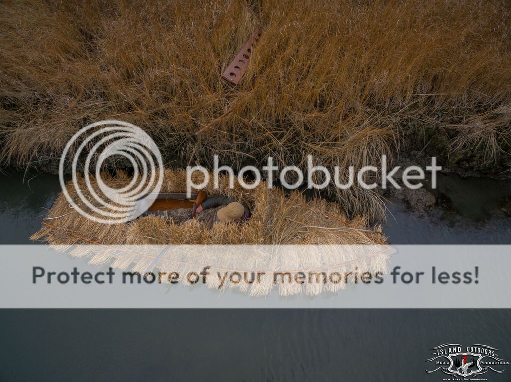IslandOutdoorsMediaTM-55_zps7nzoybg0.jpeg