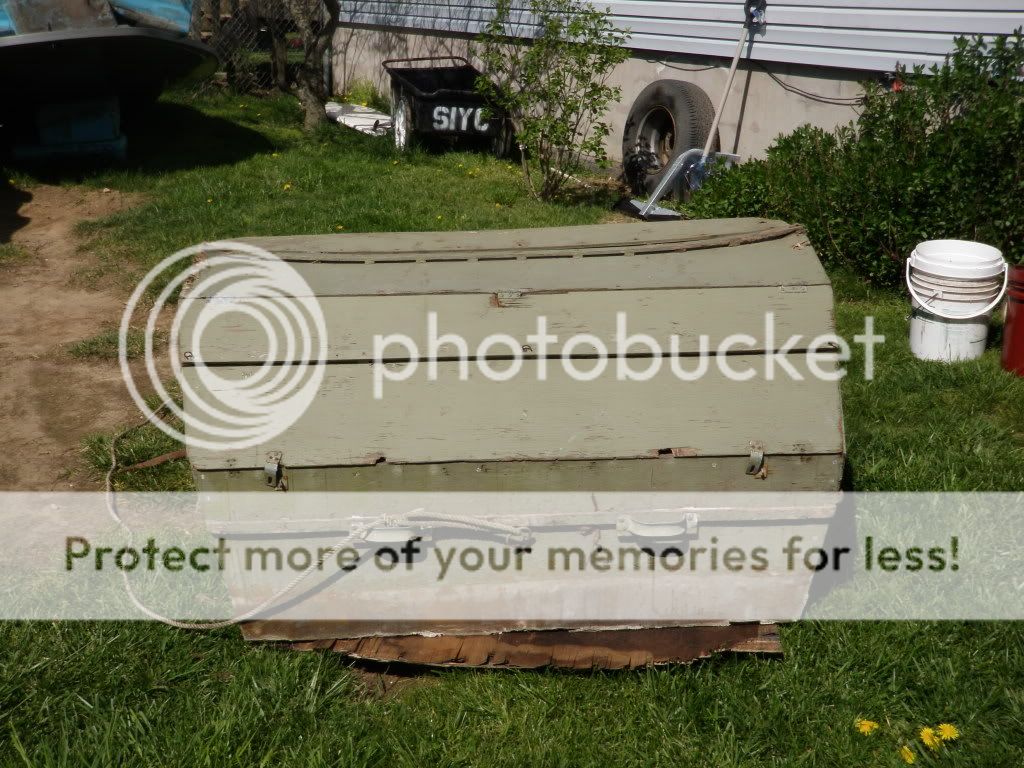 duckhunting195.jpg