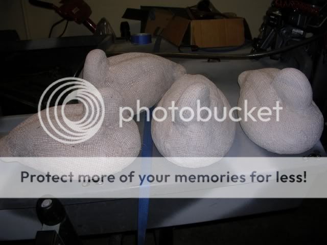 DSCN2572800x600.jpg
