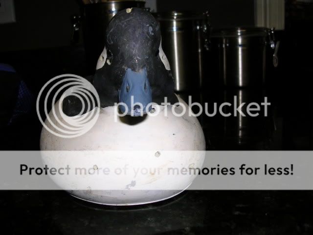 DSCN1512.jpg