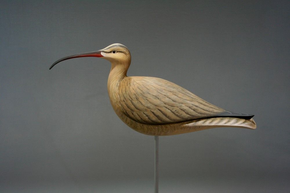 2%20Whimbrel%20-%20SMALL_zpsserei2qh.jpg