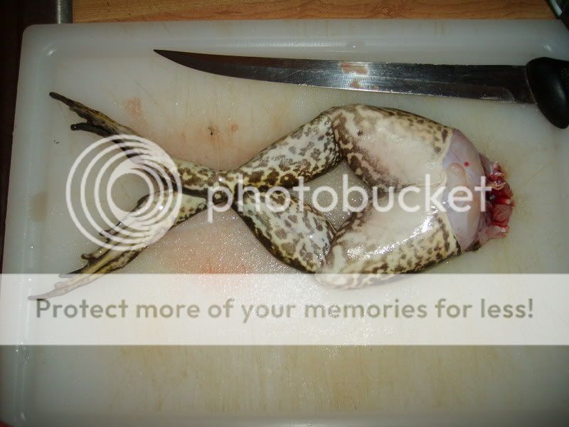 mushrooms816.jpg