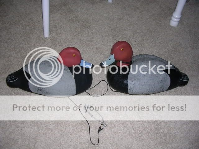 DSCN2579.jpg