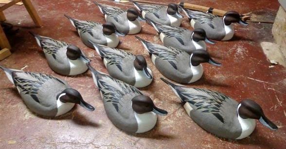 Clayton%20Pintails%20A_zpsepwdlolv.jpg