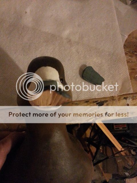 20141104_174742.jpg