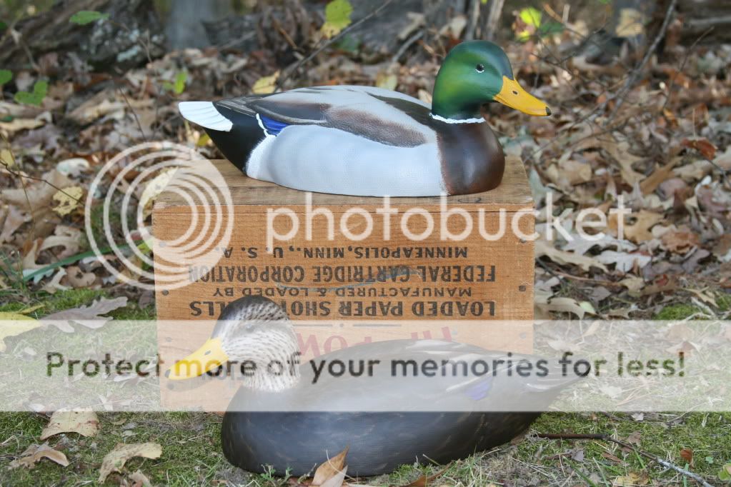 IMG_5170.jpg