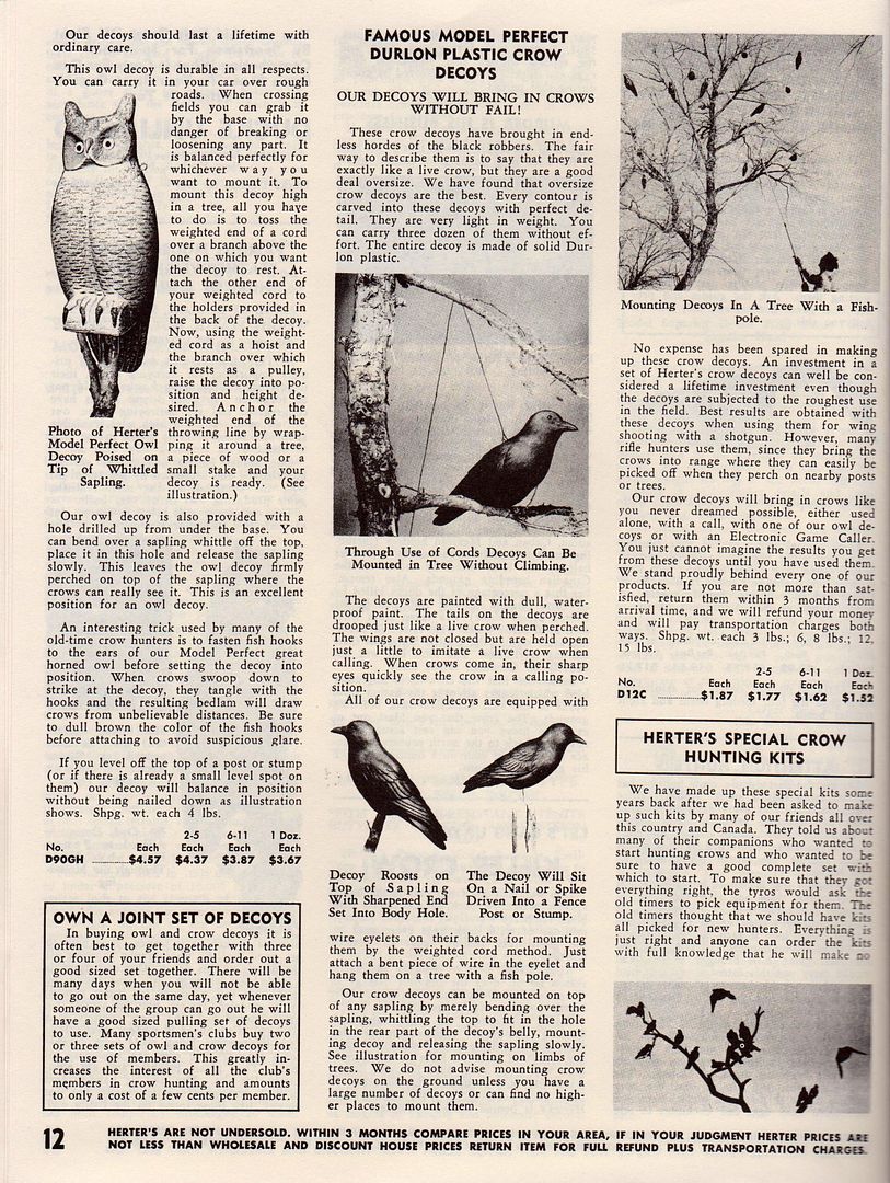 Owl%202%20001_zpsn7vm5e5r.jpg