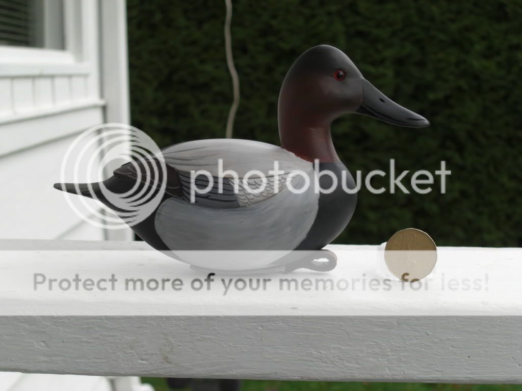CIMG4890.jpg