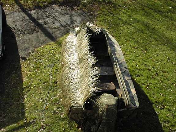 Duck Boats and Blind Grass