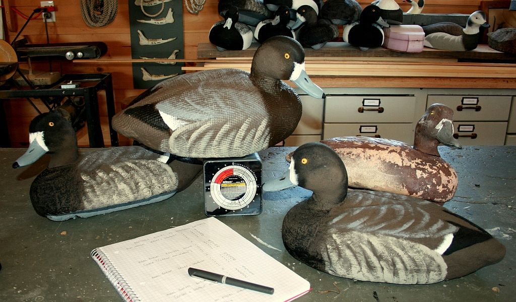 smWeight-BroadbillHens_zps97aa6bff.jpg