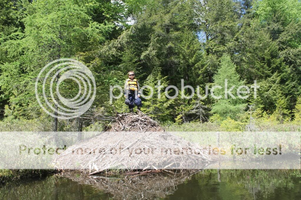 IMG_6962_zps961b96b2.jpg