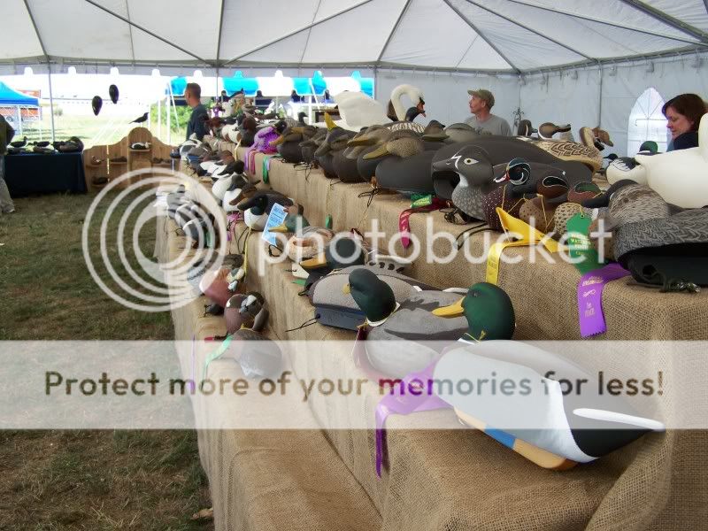 CtDUfest048.jpg