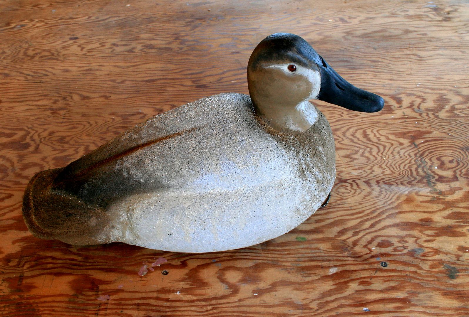 JohnsonCanvasbacks-Hen_zpsa1307b27.jpg