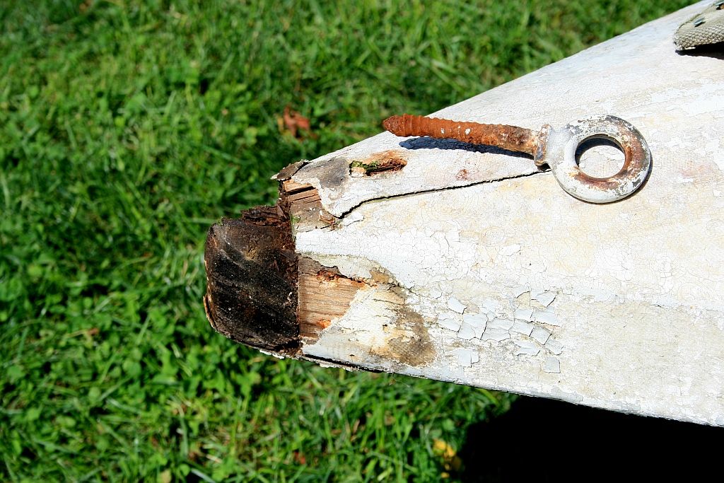 WS-Bowstem_zps8e4d46d8.jpg