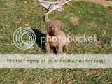 th_duckhunting354-1.jpg