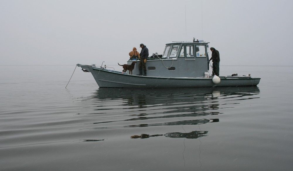 4Oster36_zps6af97984.jpg
