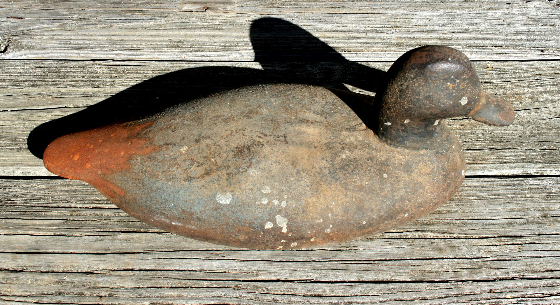 Wingdecoy-HenryDickrig-BEFORE_zpsd8e8d533.jpg