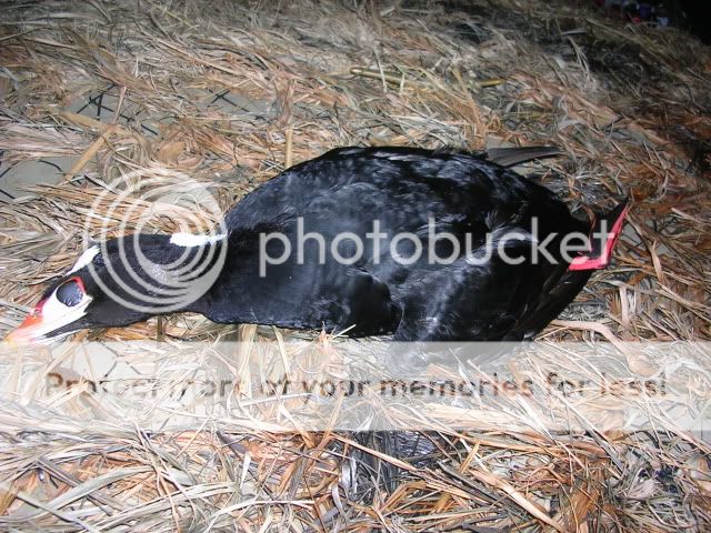 DSCN2179.jpg