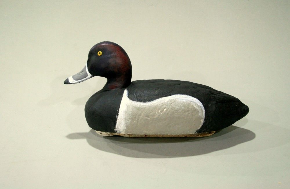 Ringbill%20Drake_zpsuof1hnrs.jpg