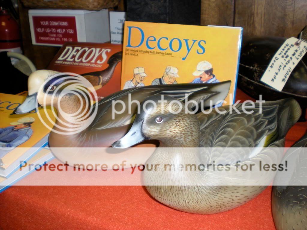 DSCN0542.jpg