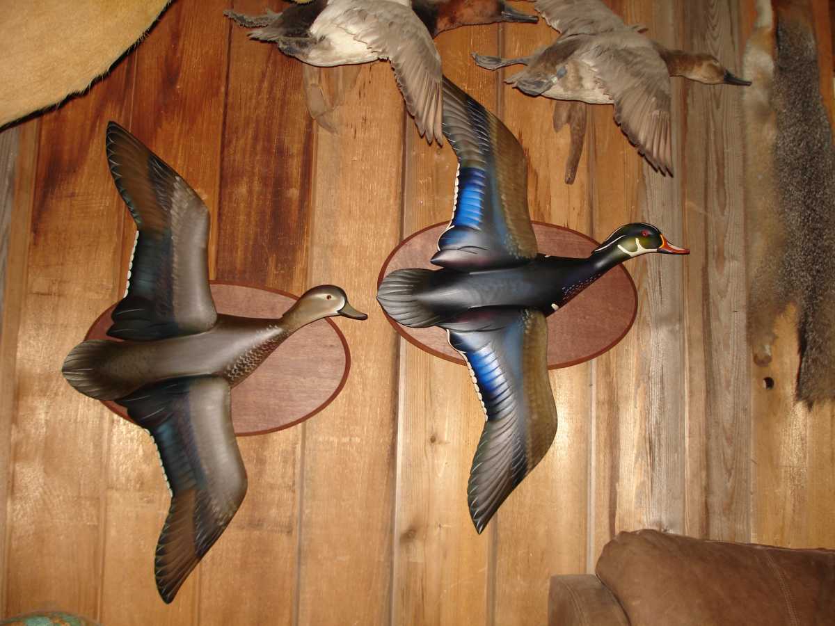 sutton_flying_wood_ducks.jpg