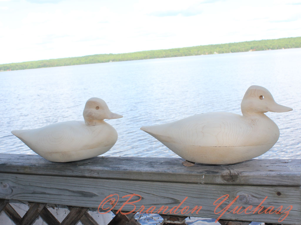 2012-06-07-Decoys-002.jpg