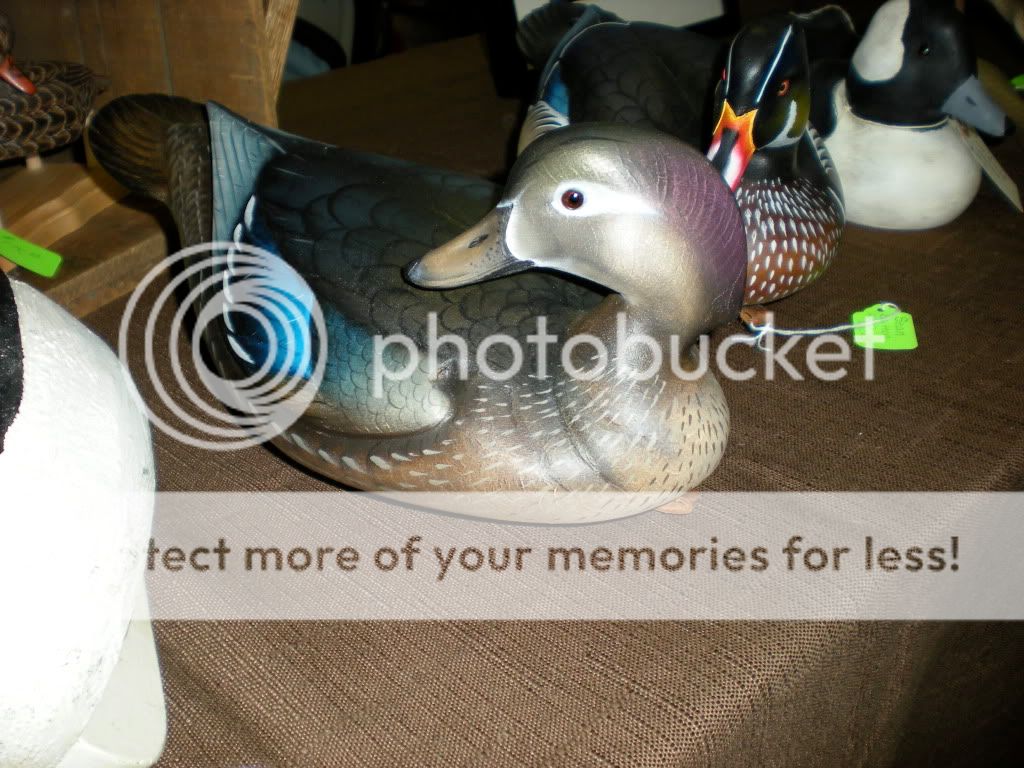 DSCN0553.jpg