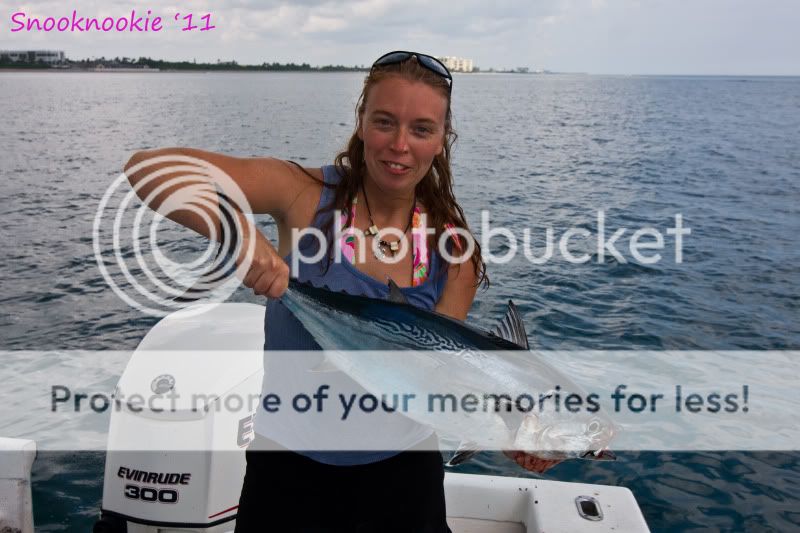 Snookfishing8-3-11102a.jpg