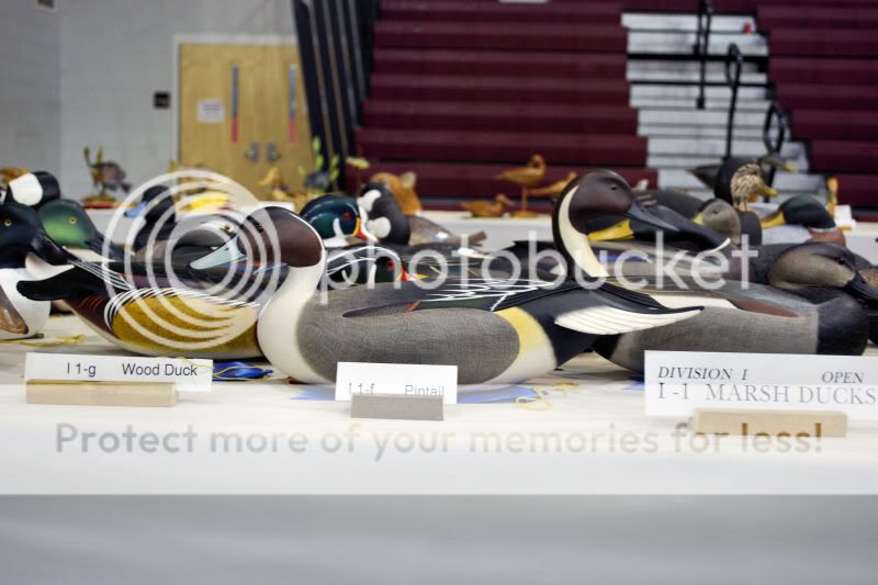 DSC_02651.jpg