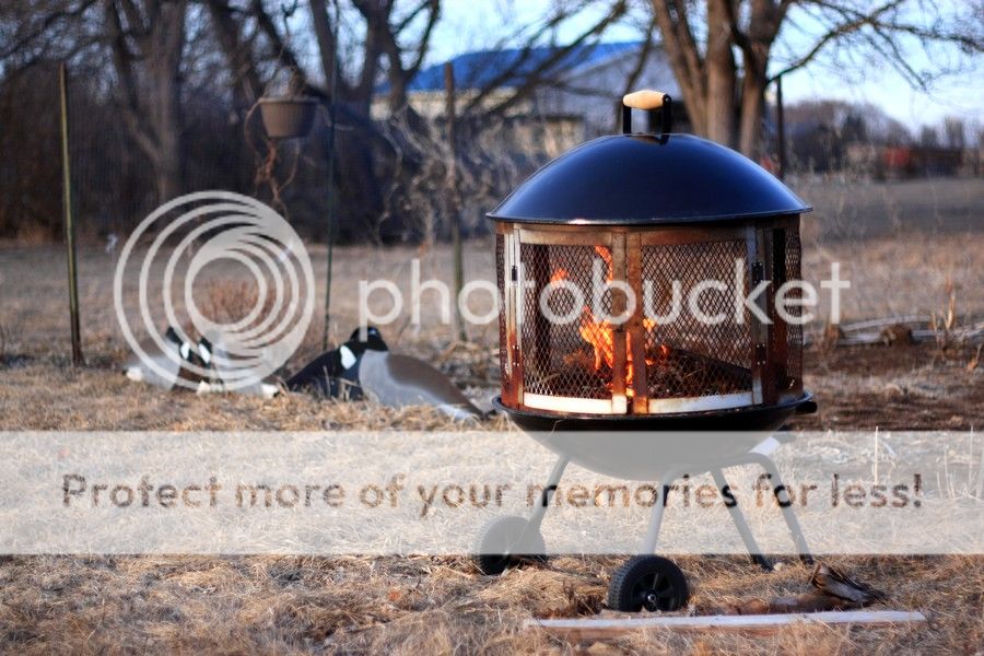 fire_zps863f4d50.jpg