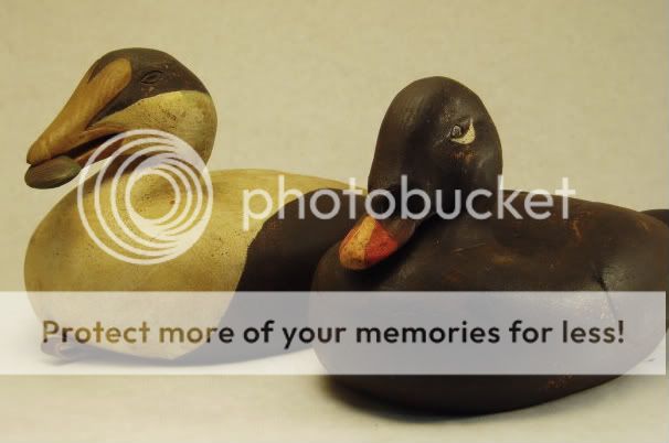 P1010658.jpg