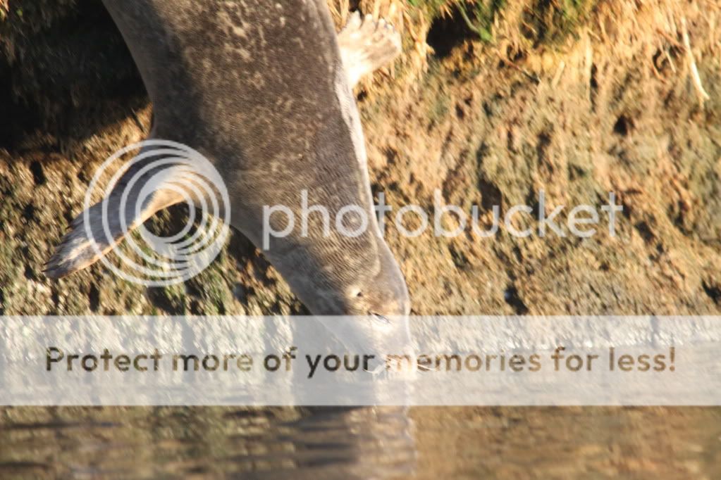 IMG_1530.jpg