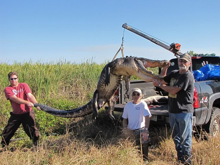 Scotty-gator-pics-030.jpg
