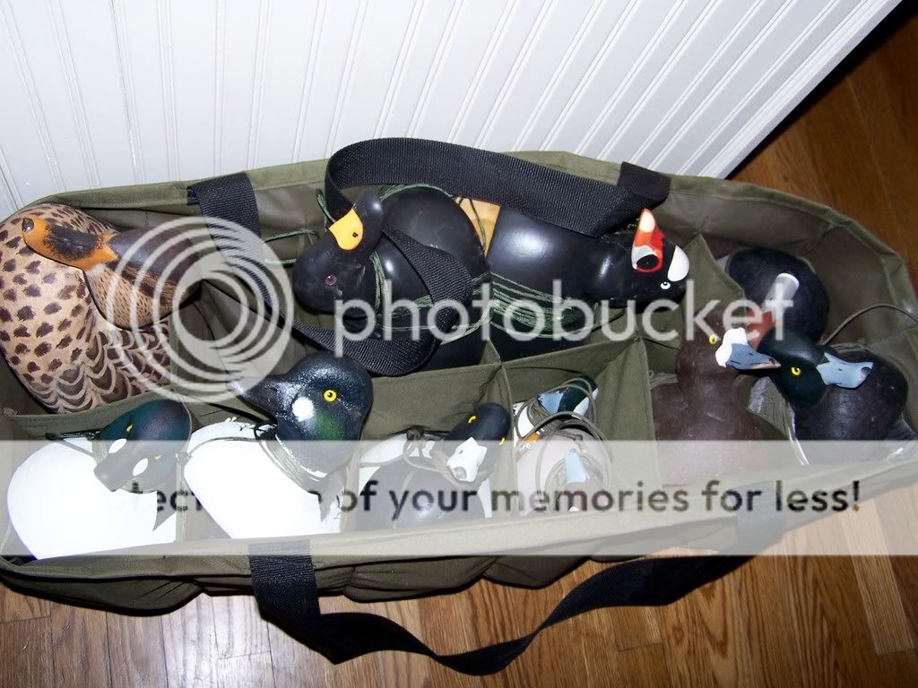 100_2604.jpg