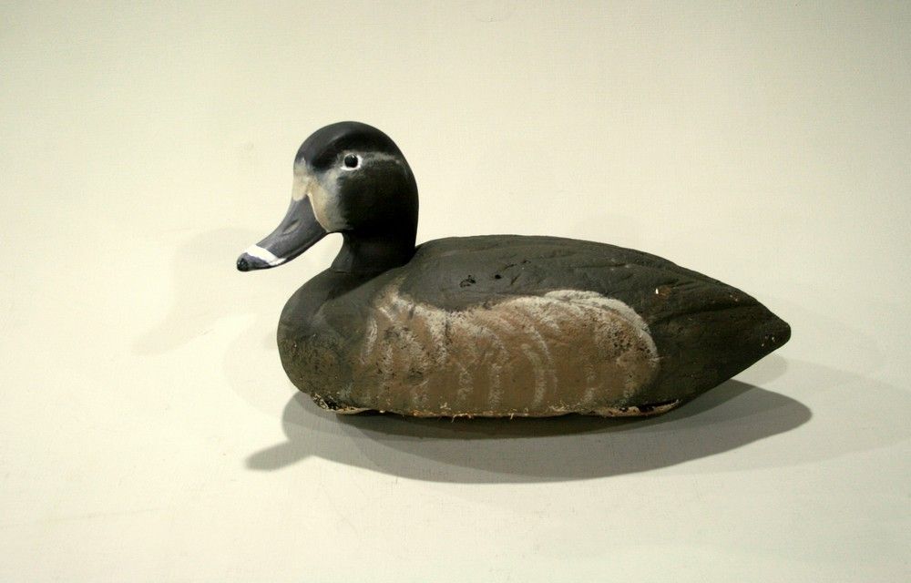 Ringbill%20Hen_zpsn6aem1mu.jpg