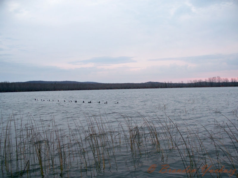08-11-05-Duckhunting-01.jpg